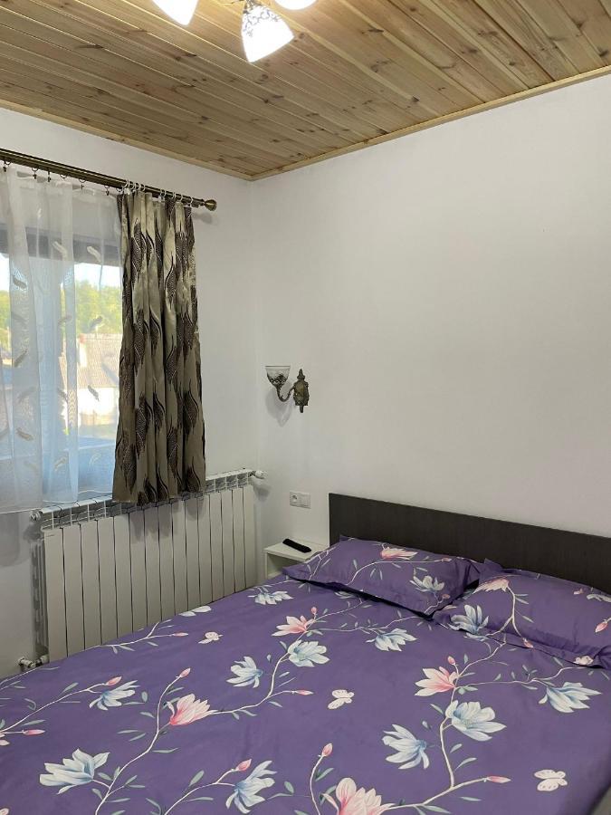 Casa De Langa Padure Hotel Máramarossziget Kültér fotó